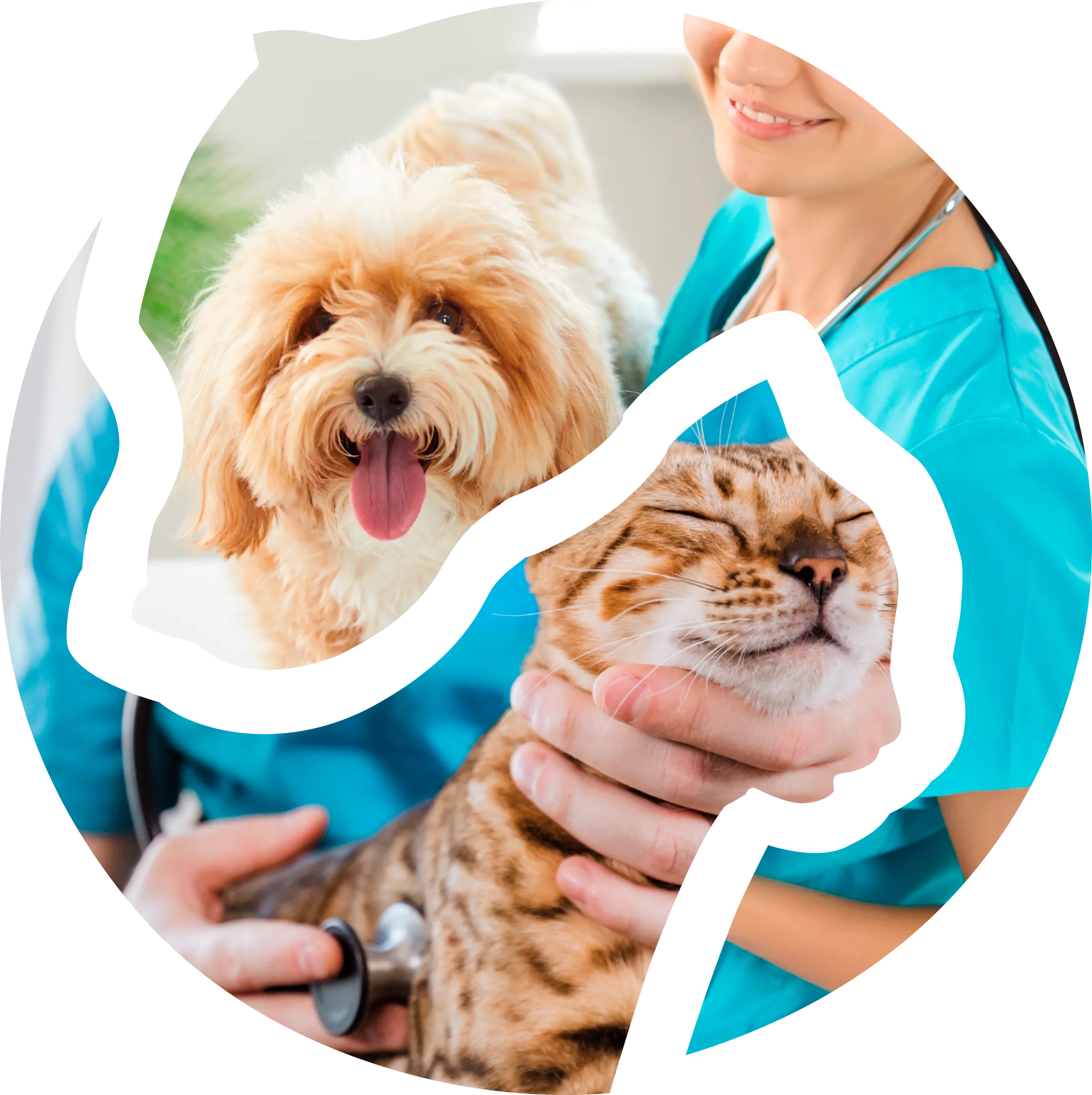 Cuidadora com cão e gato
