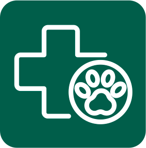 Ícone