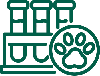 ícone
