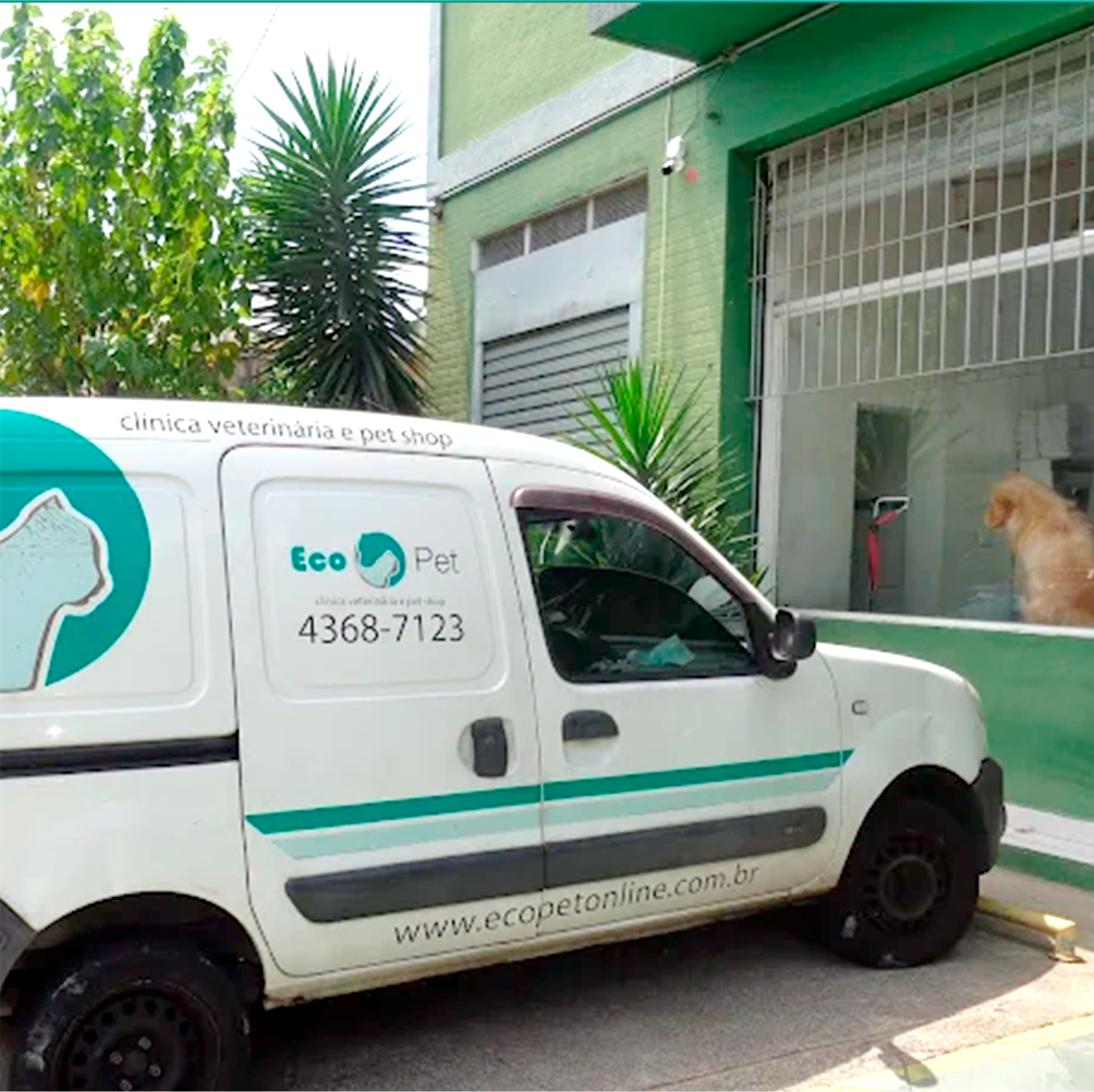 Táxi Dog