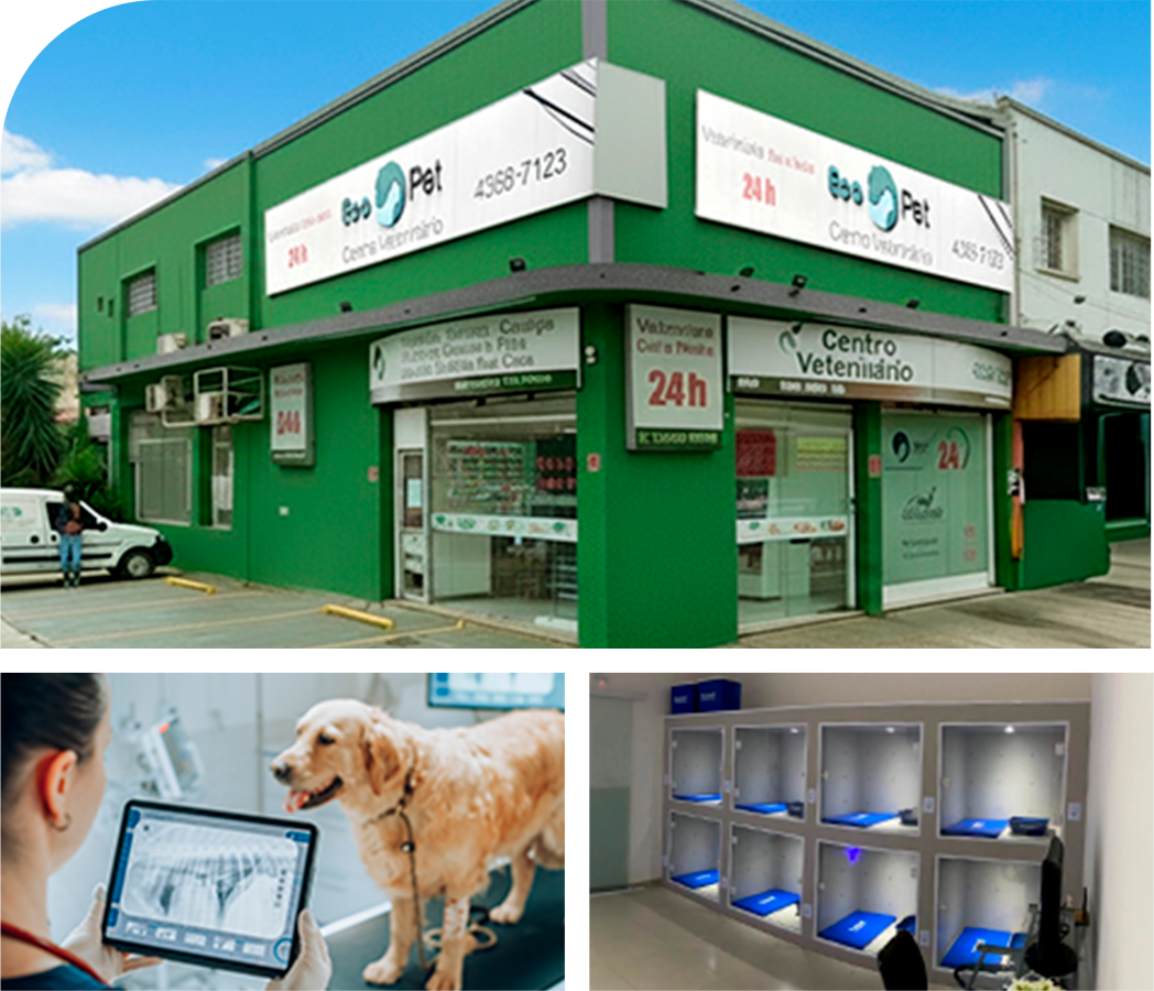 Clínica Veterinária 24h com suporte diagnóstico integrado