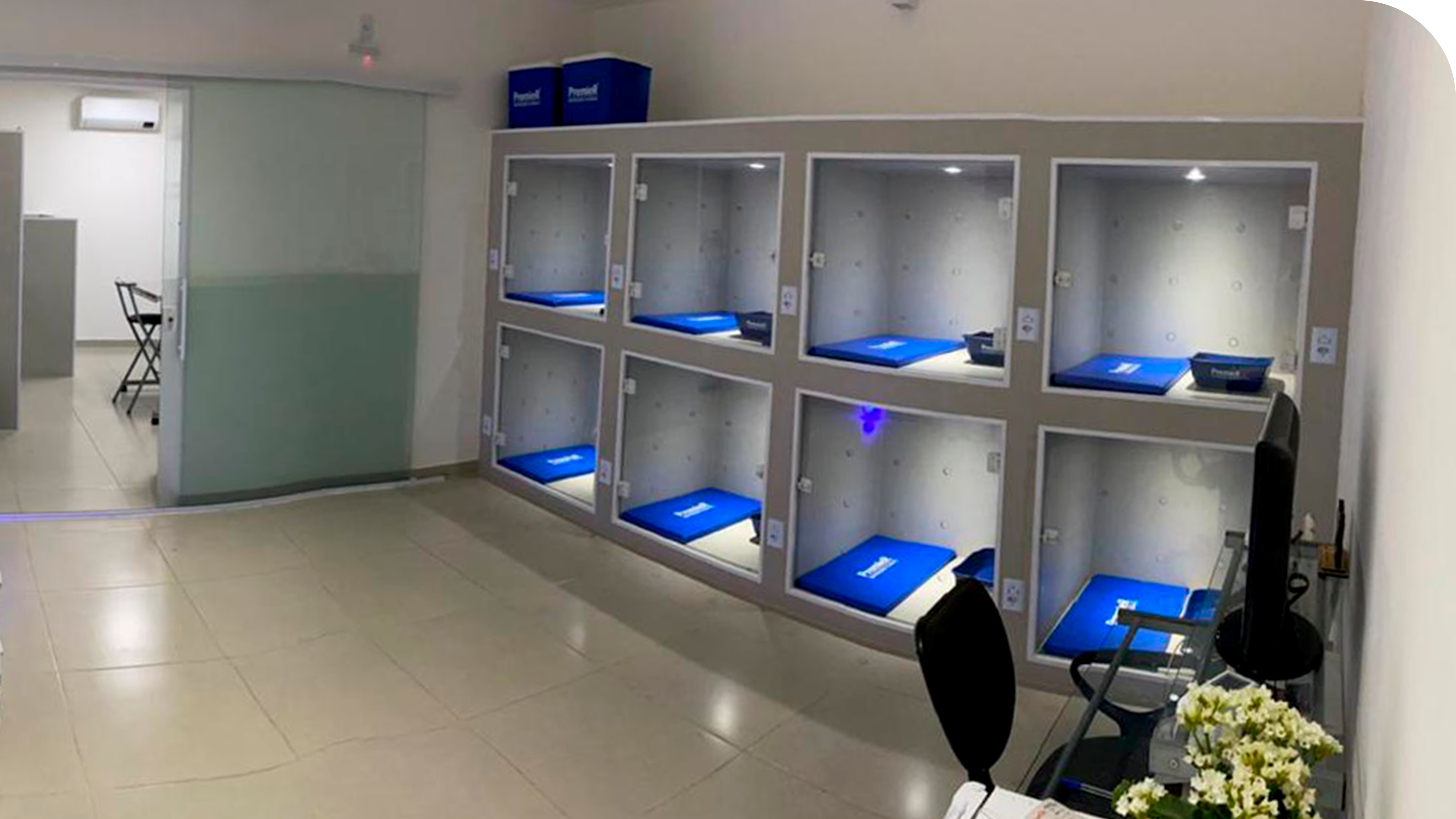 Internação e Cirurgias Veterinárias em São Bernardo do Campo